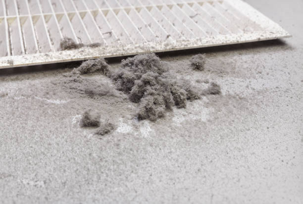 Best Emergency Air Duct Cleaning  in Meiners Oaks, CA