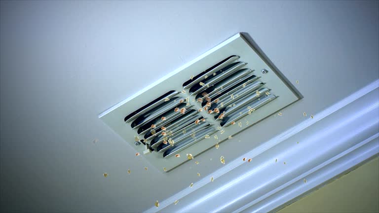 Best Ductwork Cleaning Services  in Meiners Oaks, CA